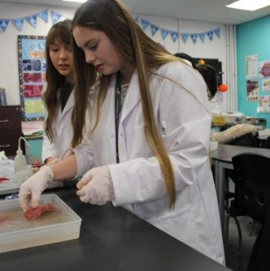 tsa_sixthScience (2)